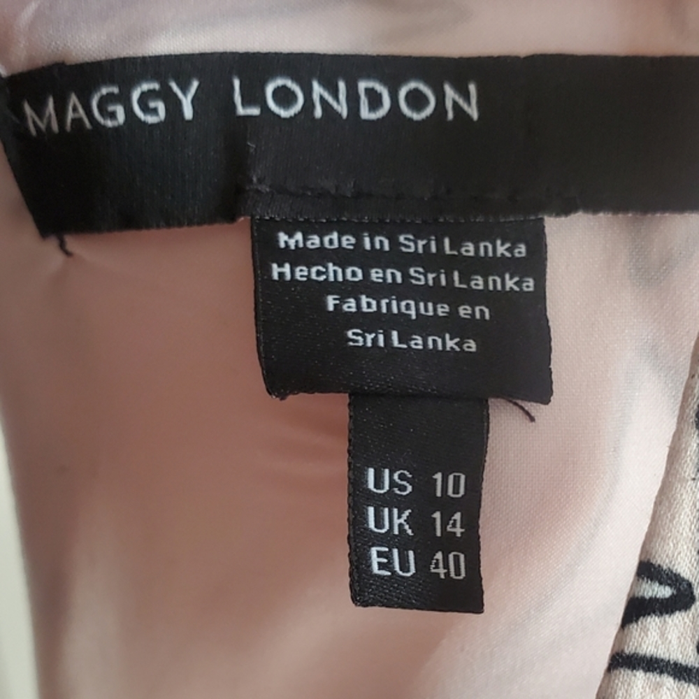 Maggy‎ London blush sleeveless handkerchief high low sheath dress size 10 - Picture 4 of 12